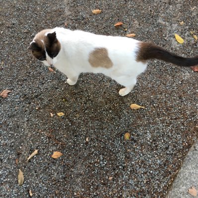 Profile Picture of Debbie Heaney (@HeaneyDeb) on Twitter