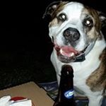 Profile Picture of Pam Bartholomew Grimm (@pammy_cheese) on Instagram