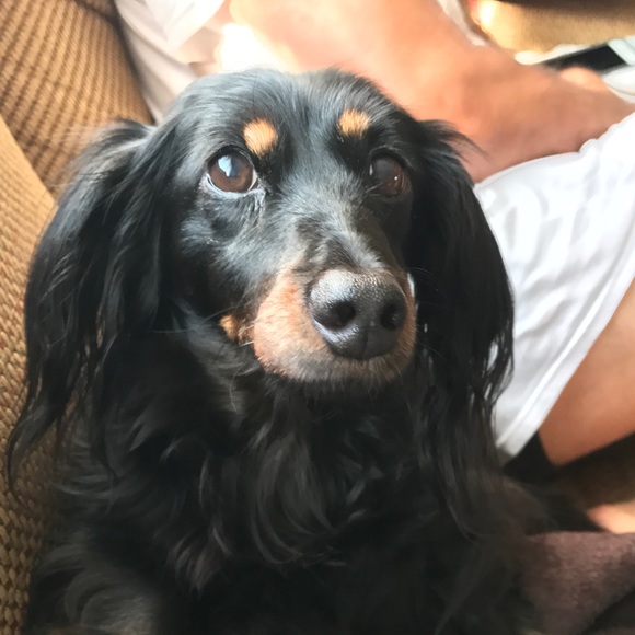 Profile Picture of William Calabrese (@billcal48) on Poshmark