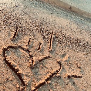 Profile Picture of Shayla Pruitt (@shayla.pruitt3) on Tiktok