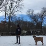 Profile Picture of Thomas Amaral (@the_tempura_tempest) on Instagram