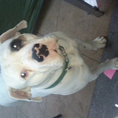 Profile Picture of Tony Mccabe (@tonymccabe1976) on Twitter