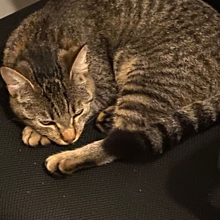 Profile Picture of LoriQui (@lori.q30) on Tiktok