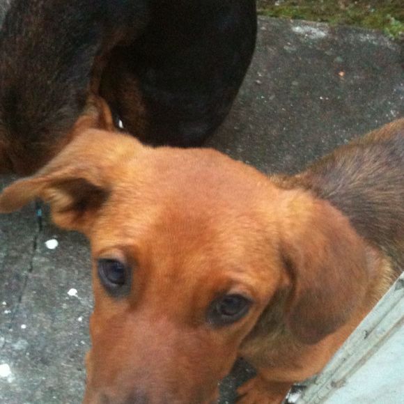 Profile Picture of Keith Phang (@countryphang) on Poshmark