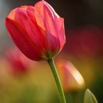 Profile Picture of Macy Randall (@macyrandall5) on Instagram