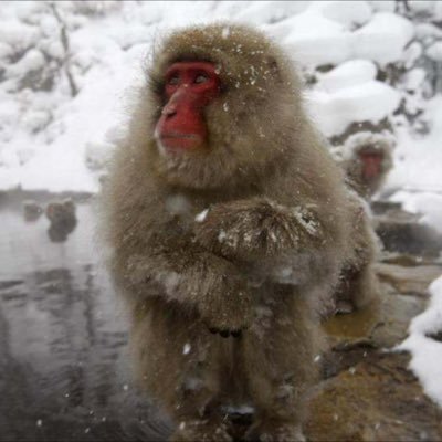 Profile Picture of Bob (@RegnierJeremy) on Twitter