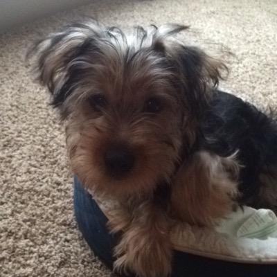 Profile Picture of Janet Brummell (@be_janet) on Twitter