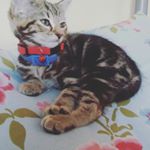 Profile Picture of rubycoop (@miss_lazzyomg) on Instagram