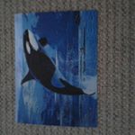 Profile Picture of matthew Quill (@matty_quil) on Instagram