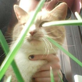 Profile Picture of Kylee Grosskreutz (@kgrosskreutz) on Pinterest