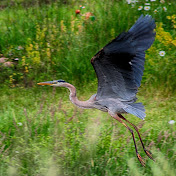 Profile Picture of Kyle Walpole (@kylewalpole2720) on Youtube