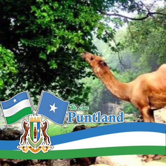 Profile Picture of Sharmarke Ahmed (@sharmarke1972) on Poshmark