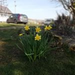 Profile Picture of Jake (@finallyhauntings.photography) on Instagram