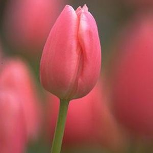 Profile Picture of Angie Coleman (@angella17) on Myspace