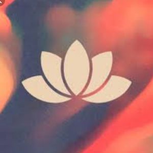 Profile Picture of davidshammas6 (@davidshammas6) on Tiktok