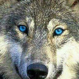 Profile Picture of Jeffrey Geary (@JeffreyGeary10) on Twitter