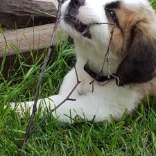 Profile Picture of Tami Teixeira (@TamiTeixeira1) on Twitter