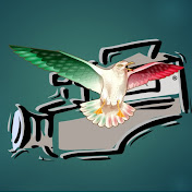 Profile Picture of PizziProductions (@PizziProductions) on Youtube