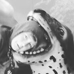Profile Picture of joel skipper (@skipperjoel) on Instagram