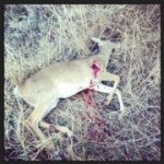 Profile Picture of Jeremy Shedd (@jeremyshedd34) on Instagram