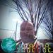 Profile Picture of Joseph Wiggins (@jbwigginsnyc) on Pinterest