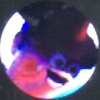 Miles Wilkinson - Twitter Profile Picture of Miles Wilkinson (@MilesWilkinso16) on Twitter