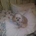 Profile Picture of Sue Devins (@sue.devins.16) on Facebook
