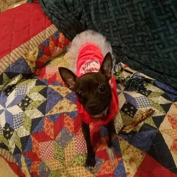 Profile Picture of Antoinette Chirafisi (@chirafisi1215) on Poshmark