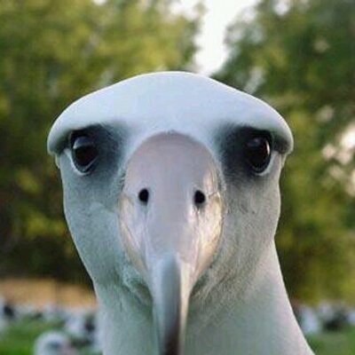 Profile Picture of Loren Wagner (@LorenWagner1) on Twitter