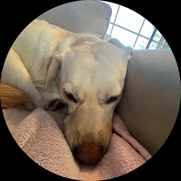 Profile Picture of Alexa Shen (@alexashenn) on Poshmark