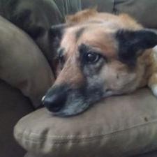 Profile Picture of Dylan Miracle (@DylanMiracle2) on Twitter