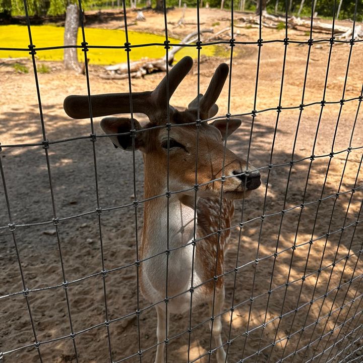 Profile Picture of Anonymous (@daviddaringer0) on Tiktok