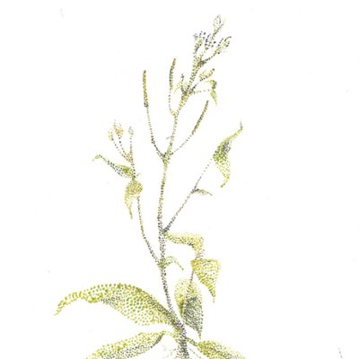 Profile Picture of TomDenyer (@TomDenyer2) on Twitter