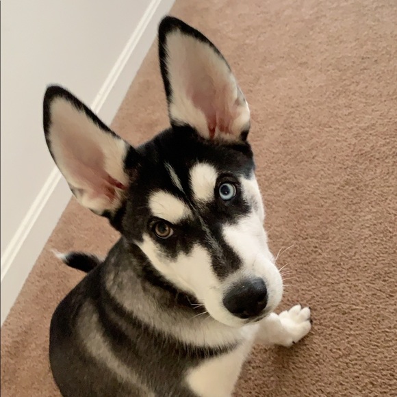 Profile Picture of Ilario Rodriguez (@ilario21) on Poshmark