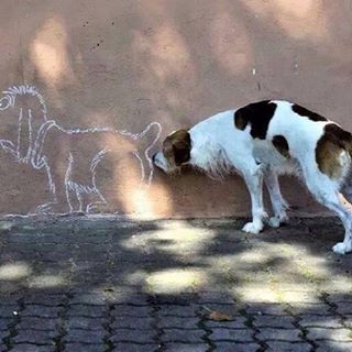 Profile Picture of Paul Riley (@Paul-Riley) on Facebook