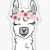 Profile Picture of Steve Darnell0 (@@user7485887684007) on Tiktok