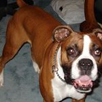 Profile Picture of Jeff Robinson (@jeff.robinson.5815255) on Instagram