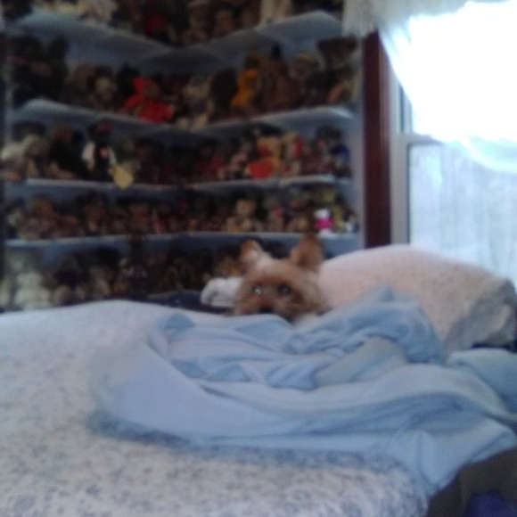 Profile Picture of Maryann Faudree (@mafaudree) on Poshmark