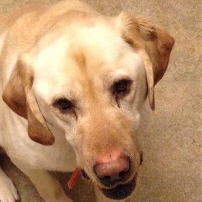 Profile Picture of Eric (@BlumerMEric) on Twitter
