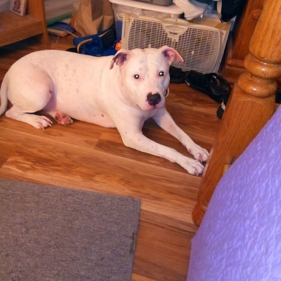 Profile Picture of Gregory Wilson (@gregorywilso434) on Poshmark