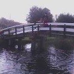 Profile Picture of Sharon Philipson Avraham (@sharonphilipsonavraham) on Instagram