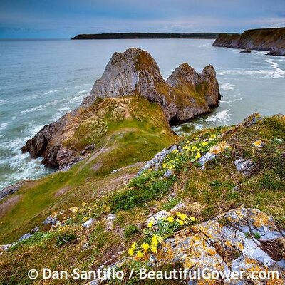Profile Picture of Beautiful Gower (@BeautifulGower) on Twitter