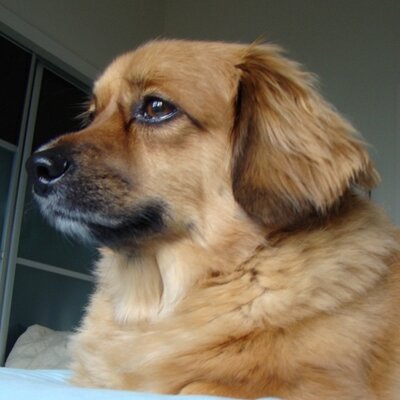 Profile Picture of Baxter Mitchell (@BaxterMitchell) on Twitter
