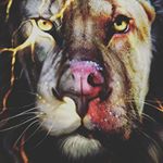 Profile Picture of Jonathan mcdonald (@youngjon_jonathan_has_here) on Instagram