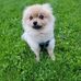 Profile Picture of Pang Xiong (@pang.xiong.1614) on Facebook