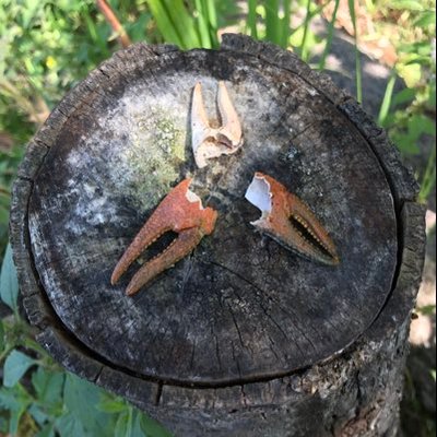 Profile Picture of Marc LeBrun (@MarcLeBrun15) on Twitter