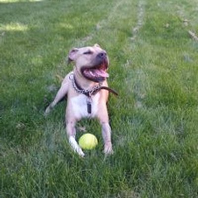 Profile Picture of Terence Ting (@Ding1414) on Twitter