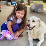 Profile Picture of Jason Brogden (@jb_0003) on Instagram