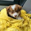 Profile Picture of michael.stier85 (@michael.stier) on Tiktok