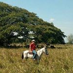 Profile Picture of Luis Octavio Rivas Parra (@luisoctaviorivas) on Instagram